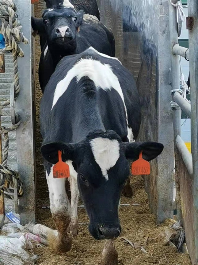 微信圖(tú)片_202112271421151640587727.jpg 微信圖片_202112271421151640587727.jpg